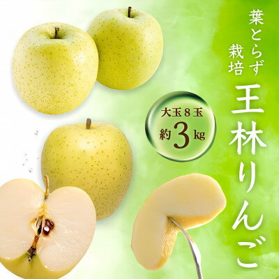 王林 大玉 8個入り(約3kg) ご家庭用 青森りんご【配送不可地域：離島・沖縄県】【1095478】