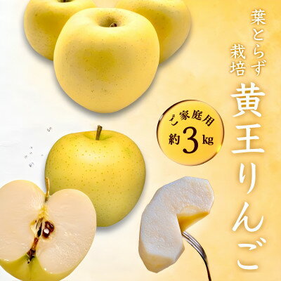 28位! 口コミ数「0件」評価「0」青森りんご 黄王 大玉・中玉 ご家庭用 約3kg【配送不可地域：離島・沖縄県】【1147282】