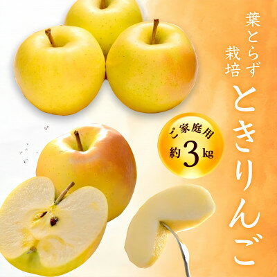 【ふるさと納税】青森りんご とき 大玉・中玉 ご家庭用 約3