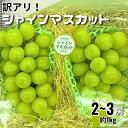 【ふるさと納税】【訳あり】シャインマスカット2~3房 約1kg【配送不可地域:離島・沖縄県】【1454125】