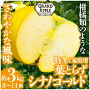 【ふるさと納税】シナノゴールド 特Aご家庭用 約3kg(8~11個)【配送不可地域:離島・沖縄県】【1552616】