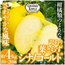 【ふるさと納税】シナノゴールド 訳あり 約4kg(10~20個)【配送不可地域:離島・沖縄県】【1552668】