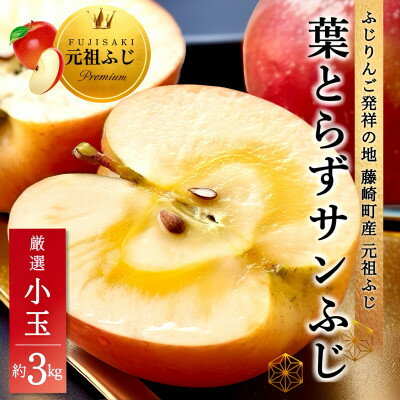 【ふるさと納税】【2025年1月下旬～発送】葉とらずサンふじ 厳選小玉 約3kg ご家庭用(訳あり) 青森林檎【配送不可地域：離島・沖縄県】【1558471】のサムネイル