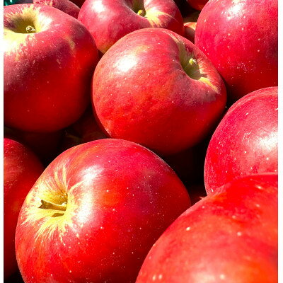 【ふるさと納税】【3月出荷予定】 紅玉 約10kg おもてなし用　青森県産りんご【配送不可地域：離島・沖縄県】【1667983】