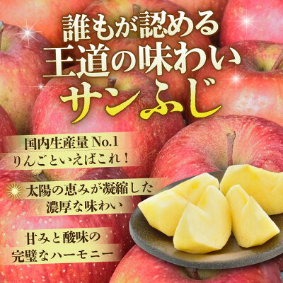 【ふるさと納税】【1月出荷予定】平均糖度13度以上! サンふじ 約5kg 贈答【配送不可地域：離島・沖縄県】【1667986】