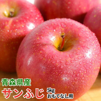 【ふるさと納税】【12月出荷予定】平均糖度13度以上! サンふじ 約5kg おもてなし用【配送不可地域：離島・沖縄県】【1667989】