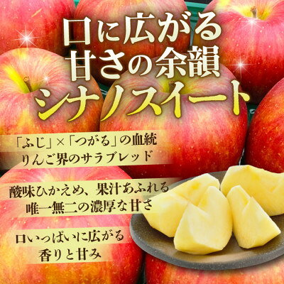 【ふるさと納税】【12月出荷予定】平均糖度13度以上! シナノスイート 約10kg おもてなし用【配送不可地域：離島・沖縄県】【1668004】