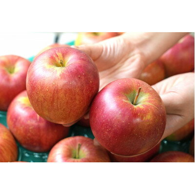 【ふるさと納税】【26年2月～3月出荷予定】平均糖度13度以上! シナノスイート 約10kg 訳あり【配送不可地域：離島・沖縄県】【1668006】