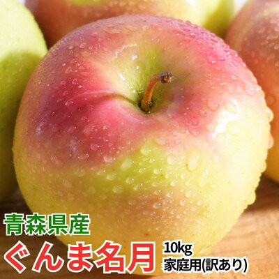 【ふるさと納税】【12月出荷予定】平均糖度13度以上! ぐんま名月 約10kg 訳あり【配送不可地域：離島・沖縄県】【1668013】