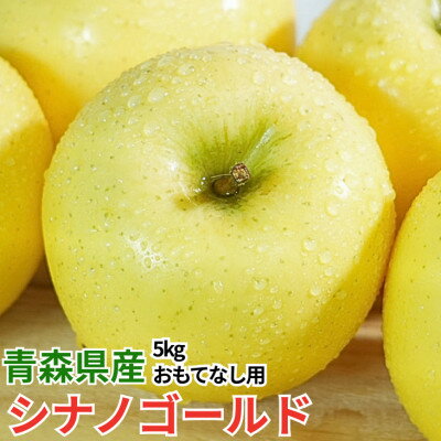 【ふるさと納税】【12月出荷予定】平均糖度13度以上! シナノゴールド 約5kg おもてなし用【配送不可地域：離島・沖縄県】【1668087】