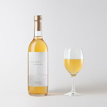 【ふるさと納税】百年林檎ジュース「CENTURY」 720ml 2本セット 無添加ストレート【1110498】