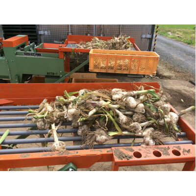 青森県田舎館村の画像3