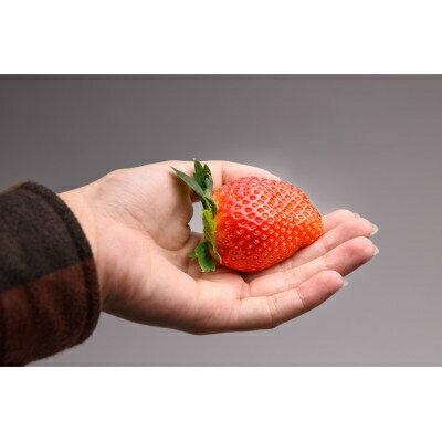 青森県田舎館村の画像3