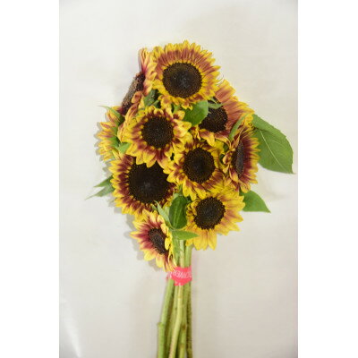 青森県田舎館村の画像2