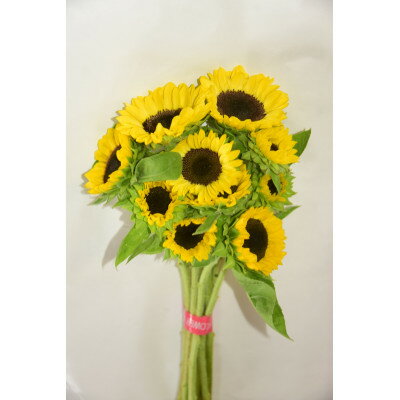 青森県田舎館村の画像3