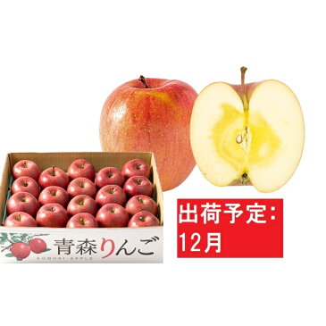 【ふるさと納税】12月 訳あり 家庭用 蜜入りサンふじ 約5kg【青森りんご・マルコウアップル】　【果物類・林檎・りんご・リンゴ】　お届け：2022年12月1日〜2022年12月30日