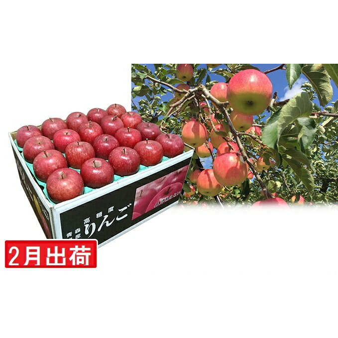 【ふるさと納税】2月 ご家庭用 サンふじ 約10kg【訳あり】【2月・青森りんご・JA津軽みらい(板柳）】　【果物類・林檎・りんご・リンゴ】　お届け：2022年2月1日〜2022年2月28日