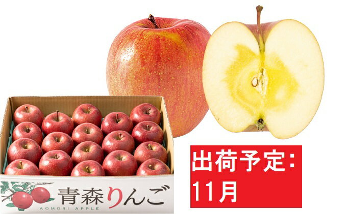 【ふるさと納税】11月 訳あり 家庭用 蜜入りサンふじ 約5kg【青森りんご・マルコウアップル】　【果物類・林檎・りんご・リンゴ】　お届け：2022年11月15日〜2022年11月30日