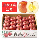 【ふるさと納税】【11月下旬発送】 訳あり 家庭用 蜜入りサンふじ 約5kg【青森りんご・マルコウアップル】　【果物類・林檎・りんご・リンゴ】　お届け：2024年11月下旬～2024年11月30日