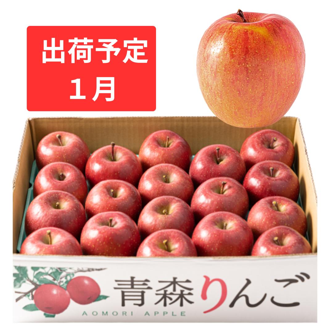 1月 家庭用濃厚サンふじ約5kg 糖度13度以上[訳あり]青森津軽りんご [果物類・林檎・りんご・リンゴ] お届け:2025年1月6日〜2025年1月31日