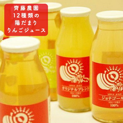 山善 齊藤農園　12種類の陽だまりりんごジュース12本セット（各180ml）　