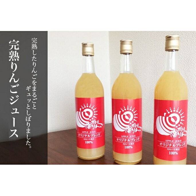 山善 齊藤農園 完熟りんごジュース720ml 3本セット 飲料類 果汁飲料