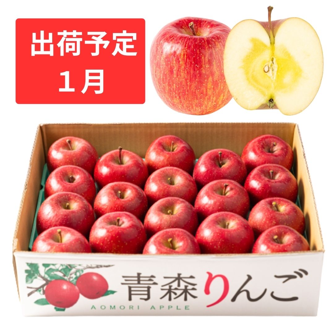 【ふるさと納税】1月 特A 蜜入りサンふじ 約5kg　糖度13度以上 【青森りんご・マルコウアップル】　【果物類・林檎・りんご・リンゴ】　お届け：2025年1月6日～2025年1月30日