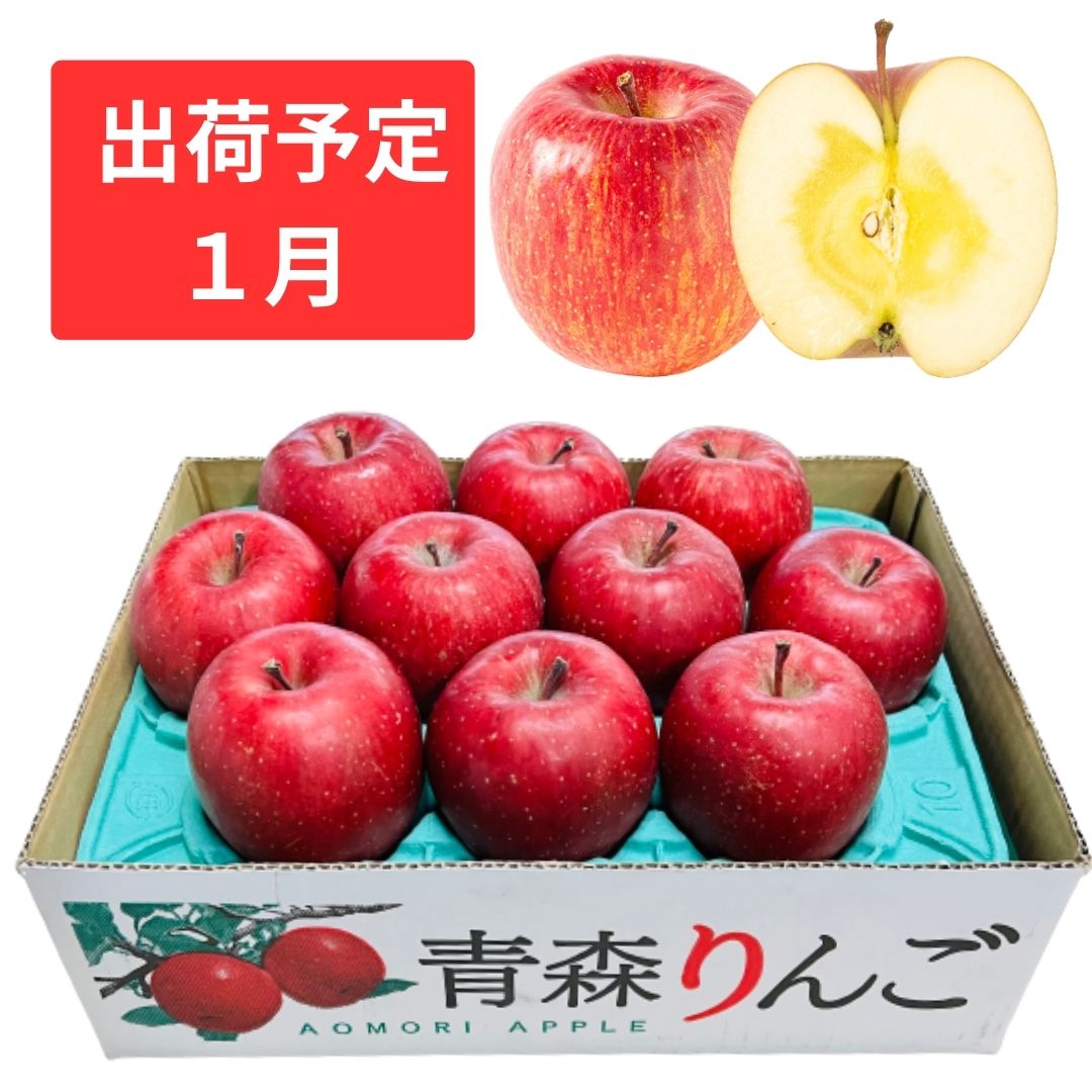 【ふるさと納税】1月 特A 蜜入りサンふじ約3kg　糖度13