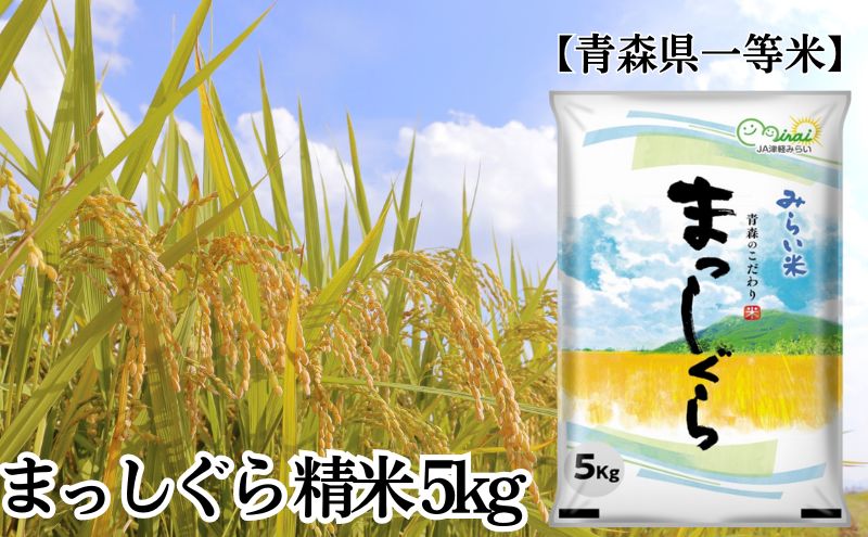 【ふるさと納税】「令和5年産」まっしぐら 精米 5kg【青森県産 一等米】　【お米・青森県産】