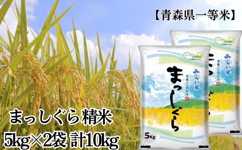 【ふるさと納税】「令和6年産」まっしぐら 精米 5kg×2袋 計10kg【青森県産 一等米】 お米