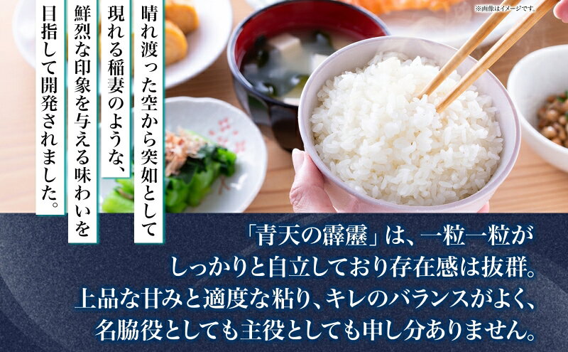 【ふるさと納税】令和7年産 青天の霹靂 精米5kg×2袋 まっしぐら 精米5kg×1袋 計15kg 青森県産 一等米 ブランド米 米 お米 コメ こめ 食品 ご飯 ごはん 和食 炊き立て 国産 備蓄 津軽みらい農業協同組合 板柳基幹支店 板柳グリーンセンター f023817-itayanagi-10000094 青森県板柳町 サンプル画像3