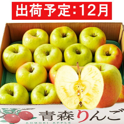 【ふるさと納税】12月 贈答規格 ぐんま名月約5kg　糖度13度以上【青森りんご・マルコウアップル】　【 果物類 りんご 果物 フルーツ 幻のりんご ジューシー ぐんま名月 】　お届け：2024年12月1日～2024年12月31日