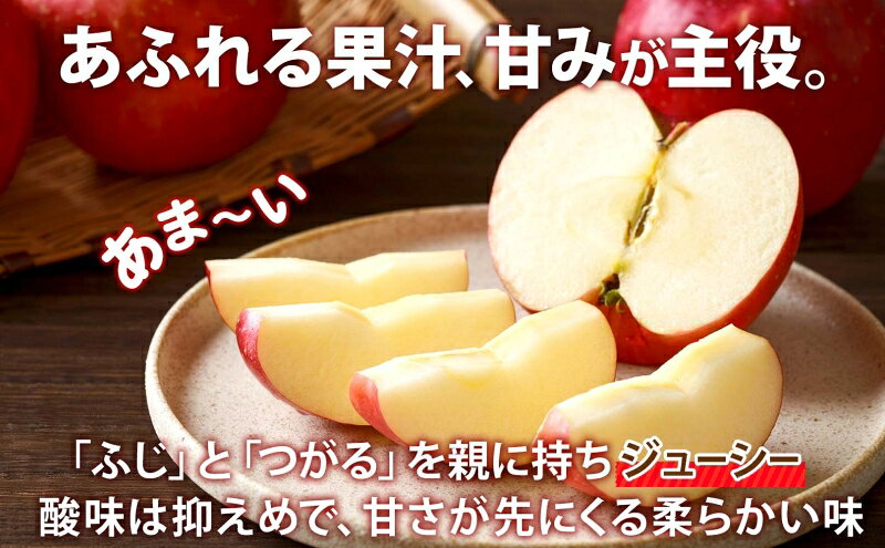 【ふるさと納税】10月 贈答規格 シナノスイート約5kg（12～16個）13度糖度保証【青森りんご・ゆうきアップル・10月】 果物類 果物 フルーツ ジューシー 甘い 　お届け：2026年10月20日～2026年11月20日 f023817-itayanagi-10000114 青森県板柳町 サンプル画像2