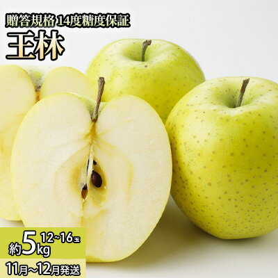 【ふるさと納税】11月 贈答規格 王林約5kg(12~16個)14度糖度保証【青森りんご・ゆうきアップル・11月】 果物類 果物 フルーツ 代表品種 甘み お届け:2025年11月20日~2025年12月20日