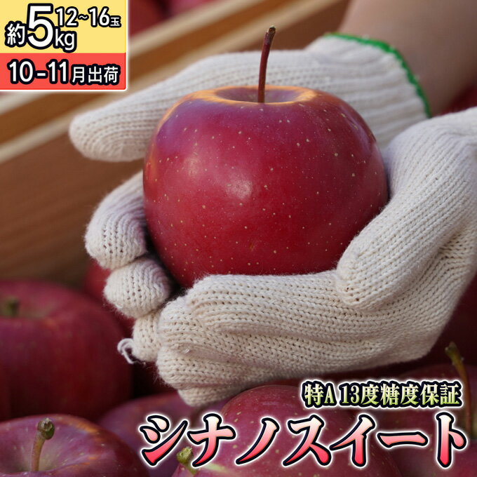 10〜11月 特Aシナノスイート約5kg(12〜16個)13度糖度保証[青森りんご・ゆうきアップル・10月・11月] [ 果物類 シナノスイート フルーツ 果物 ジューシー 特A ] お届け:2024年10月15日〜2024年11月25日