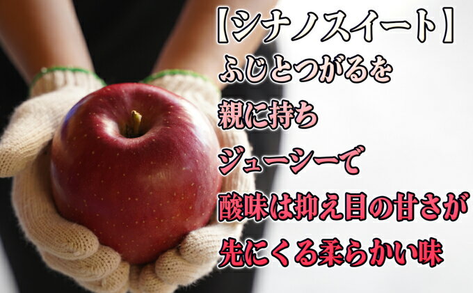 【ふるさと納税】10月 特Aシナノスイート約5kg（12～16個）13度糖度保証【青森りんご・ゆうきアップル・10月】 果物類 フルーツ 果物 ジューシー 　お届け：2026年10月20日～2026年11月20日