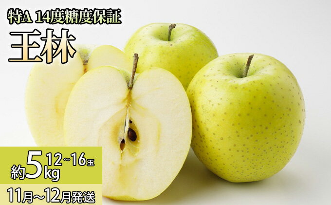 【ふるさと納税】11月 特A王林約5kg（12～16個）14度糖度保証【青森りんご・ゆうきアップル・11月】 果物類 フルーツ 果物 代表品種 　お届け：2025年11月20日～2025年12月20日