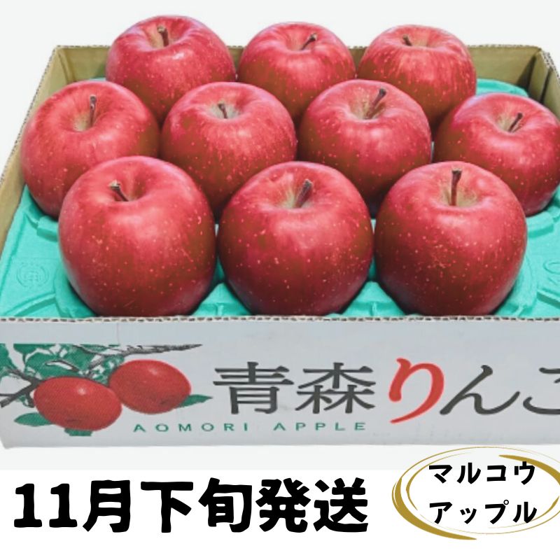 【11月下旬発送】訳あり 家庭用 濃厚サンふじ 約3kg 糖度13度以上【青森りんご・マルコウアップル】　【板柳町】　お届け：2024年11月下旬～