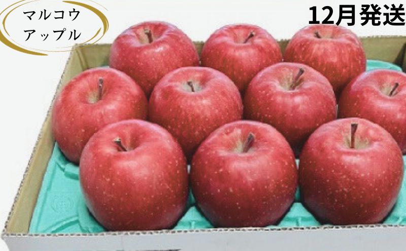 【ふるさと納税】【12月発送】訳あり 家庭用 濃厚サンふじ 約3kg 糖度13度以上【青森りんご・マルコウアップル】 リンゴ 林檎 フルーツ 果物 訳アリ 　お届け：2025年12月上旬～