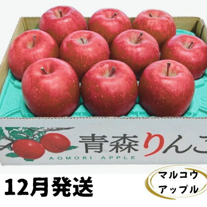 【12月発送】訳あり 家庭用 濃厚サンふじ 約3kg 糖度13度以上【青森りんご・マルコウアップル】　【 りんご リンゴ 林檎 サンふじ 3kg マルコウアップル フルーツ 果物 訳アリ 青森 】　お届け：2024年12月上旬～