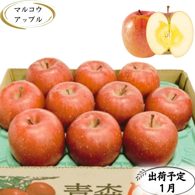 [1月発送]訳あり 家庭用 蜜入りサンふじ 約3kg[青森りんご・マルコウアップル] [板柳町] お届け:2025年1月6日〜2025年1月30日