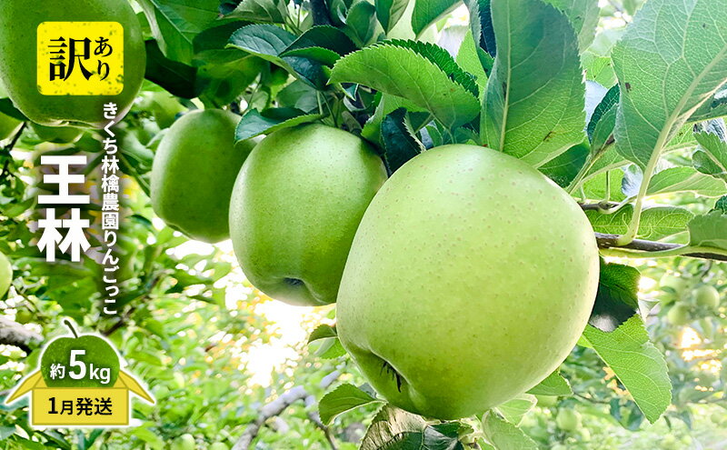 【ふるさと納税】きくち林檎農園りんごっこ 家庭用 大玉 王林 訳あり 約5kg 果物 フルーツ デザート 食後 甘みが強い 　お届け：2026年1月6日～2026年1月末まで