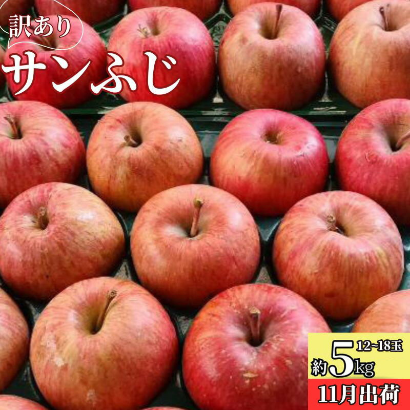 11～12月 訳ありサンふじ約5kg（12～18玉）糖度13度保証　【板柳町】　お届け：2024年11月20日～2024年12月31日