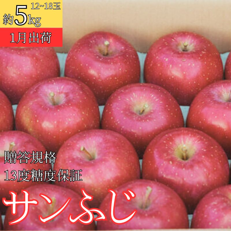 1月 贈答規格 サンふじ約5kg（12～18個）13度糖度保証【青森りんご・ゆうきアップル・1月】　【板柳町】　お届け：2025年1月10日～2025年1月25日