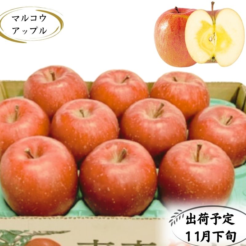 名称りんご内容量家庭用 蜜入りサンふじ 約3kg(8～11玉程度)【訳あり】 ※色むら、変形、小キズ含む ※蜜の入りはセンサーにかけ選別してますが、時間とともに蜜は抜けていく場合もございますのでご了承お願いします。（個体差がございます。）産...