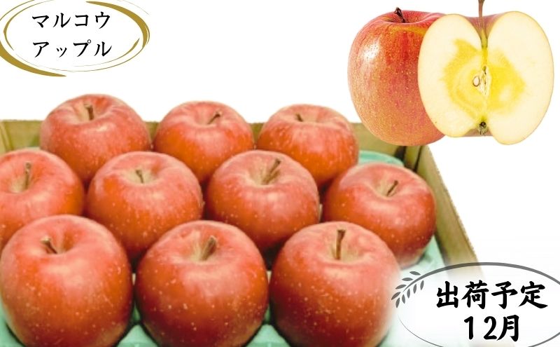 【ふるさと納税】【12月発送】訳あり 家庭用 蜜入りサンふじ 約3kg【青森りんご・マルコウアップル】 　お届け：2025年12月1日～2025年12月30日