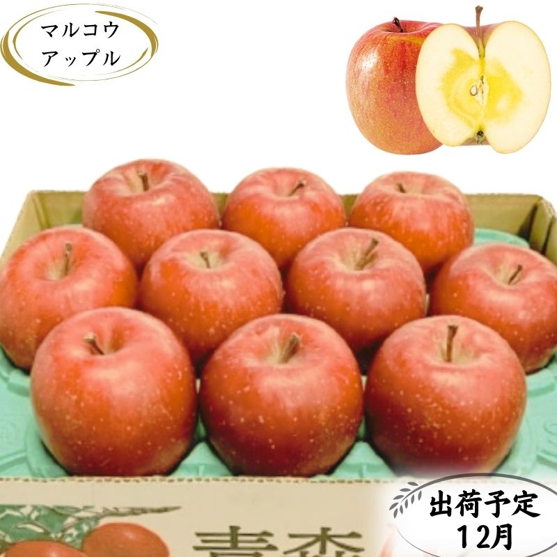 【12月発送】訳あり 家庭用 蜜入りサンふじ 約3kg【青森りんご・マルコウアップル】　【板柳町】　お届け：2024年12月1日～2024年12月30日