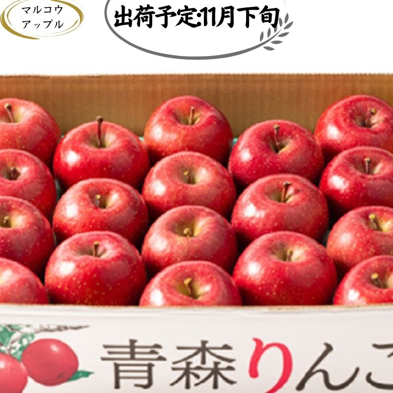  特A 濃厚サンふじ約5kg　糖度13度以上　　お届け：2024年11月下旬～2024年11月30日