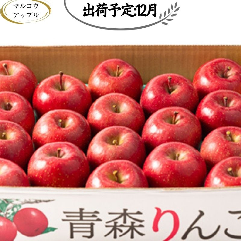 【ふるさと納税】【12月発送】 特A 濃厚サンふじ約5kg　糖度13度以上【青森りんご・マルコウアップル】　【板柳町】　お届け：2024年12月1日～2024年12月30日