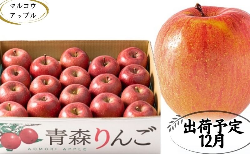 【ふるさと納税】【12月発送】 家庭用濃厚サンふじ約5kg　糖度13度以上【訳あり】青森津軽りんご 　お届け：2025年12月1日～2025年12月30日